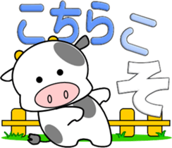 579108618