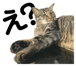 579117146