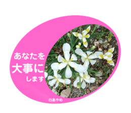 579161168