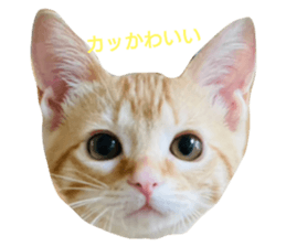 579238060
