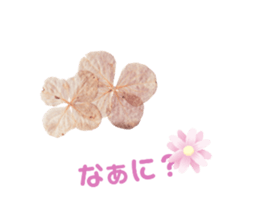 579238617