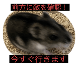 579257359