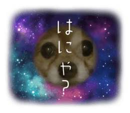 579265005
