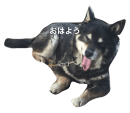 579350001