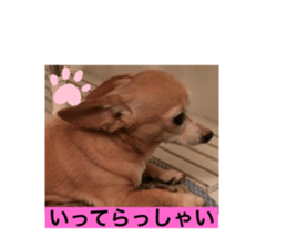579354025