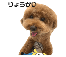 579355164