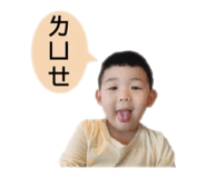 579384559