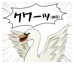 579485662