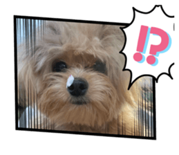 579626480