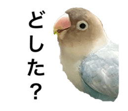 579627672