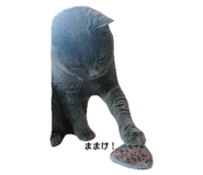 579639849