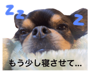 579652423