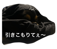 579652427