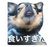 579652432