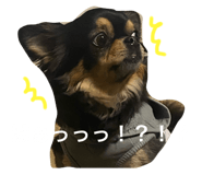 579652434