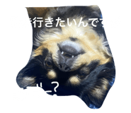579652435