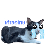 579655804