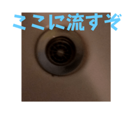 579657093