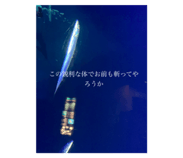 579716402