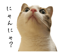 579718489