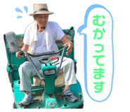 579720313