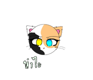 579732655