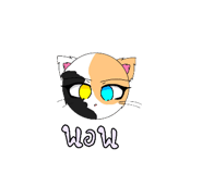 579732675