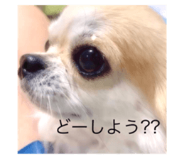 579749363