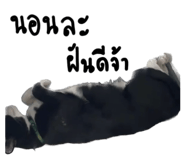 579766487
