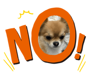 579801818