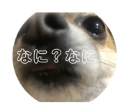 579905729