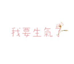579923241