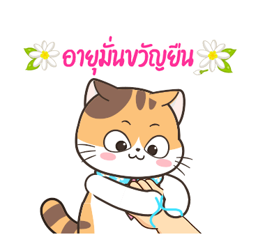 สอยดาวสงกรานต์ รูปที่ 12