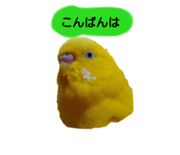 579961422