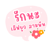 579988956