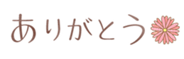 579996423