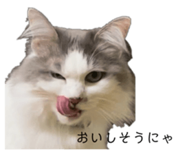 579998981