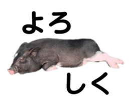 580006534