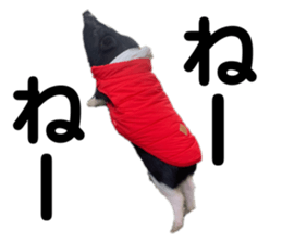 580006536