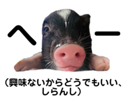 580006544