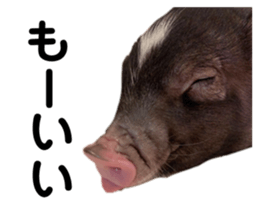 580006552