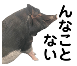 580006554