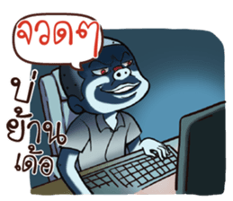580007706