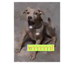 580046236