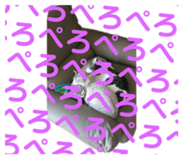 580130917