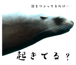 580154060