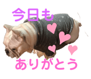 580160135