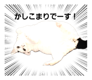 580207502