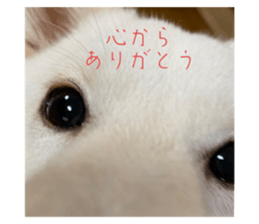 580210603