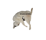 580242931